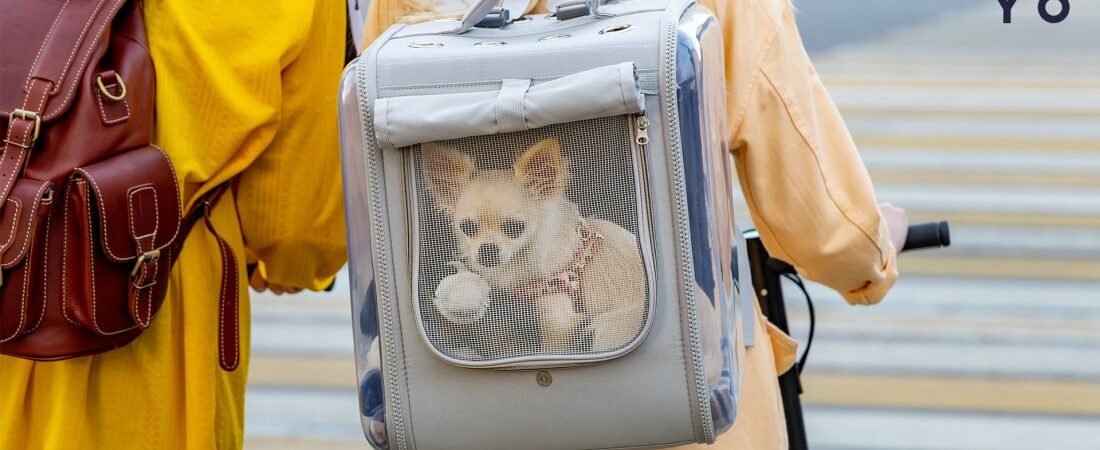 Як обрати рюкзак для тварини